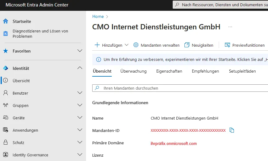 In der Übersicht finden Sie die Tennant ID und Ihr Microsoft Präfix